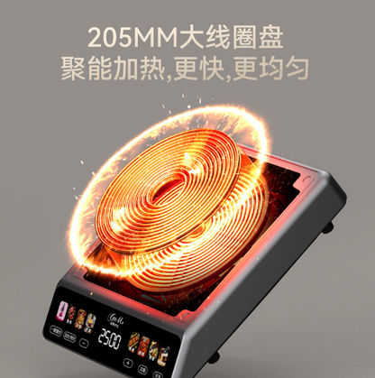 Color-Screen Induction Cooker